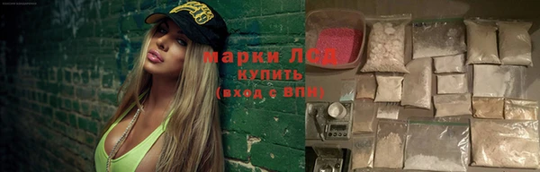 Альфа ПВП Белокуриха