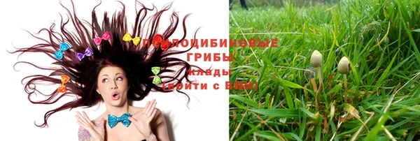 Альфа ПВП Белокуриха