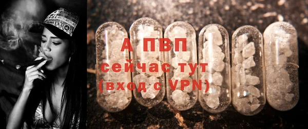 Альфа ПВП Белокуриха