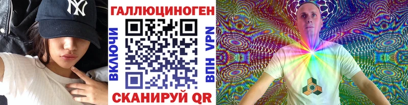 закладки  Курильск  Псилоцибиновые грибы Cubensis 
